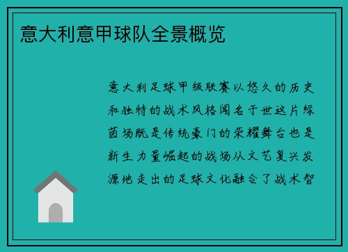 意大利意甲球队全景概览